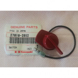 BOUTON MA KAWASAKI