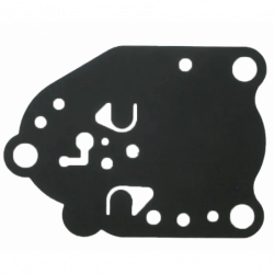 MEMBRANE KAWASAKI