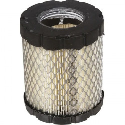 FILTRE A AIR CYLINDRIQUE B&S