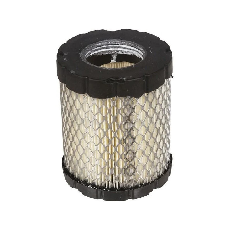 FILTRE A AIR CYLINDRIQUE B&S