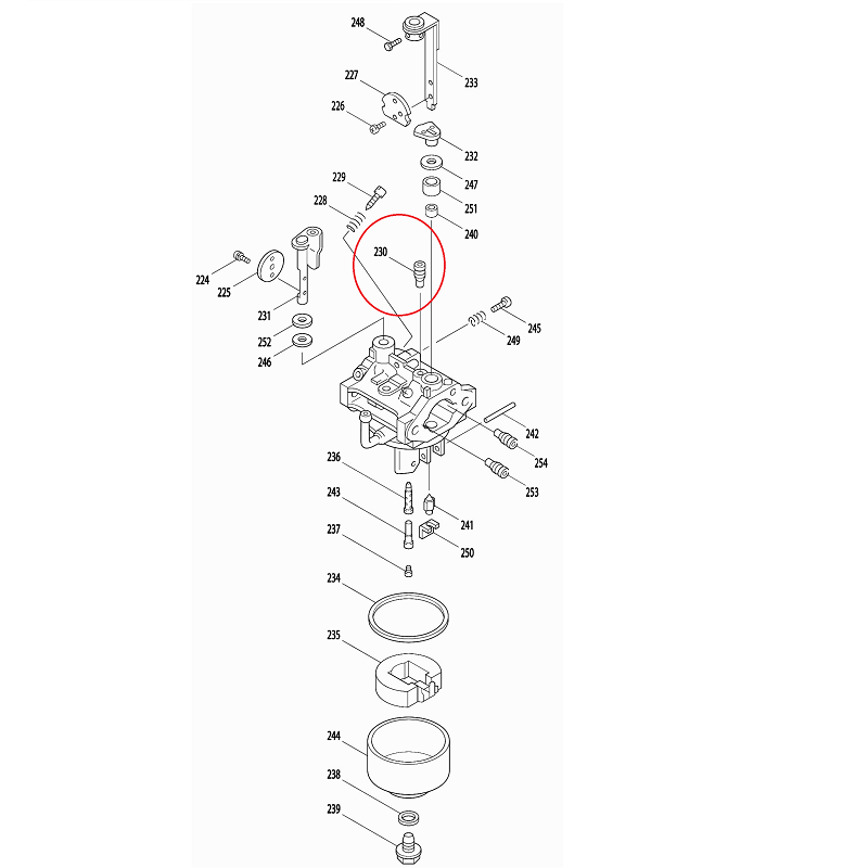 GICLEUR RALENTI ROBIN