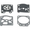Jeu de pieces du carburateur