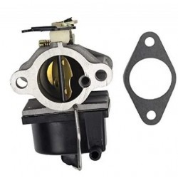 CARBURATEUR TECUMSEH ADAPTABLE