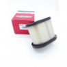 FILTRE A AIR BRIGGS & STRATTON