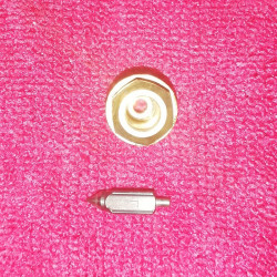 POINTEAU COMPLET ROBIN