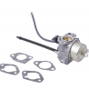 CARBURATEUR BRIGGS & STRATTON