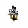 CARBURATEUR EA190V75010
