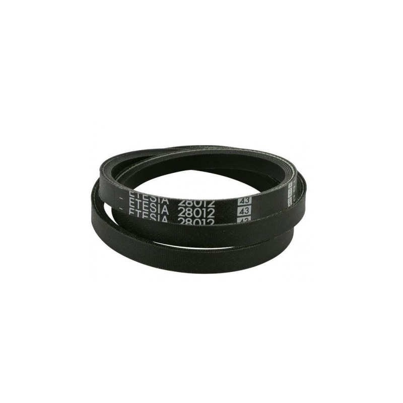 COURROIE DE TRACTION OUTILS WOLF ETESIA