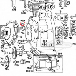 PIGNON DENTRAINEMENT