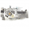 CARBURATEUR BRIGGS & STRATTON