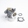 CARBURATEUR BRIGGS & STRATTON ADAPTABLE