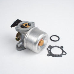 CARBURATEUR BRIGGS & STRATTON ADAPTABLE
