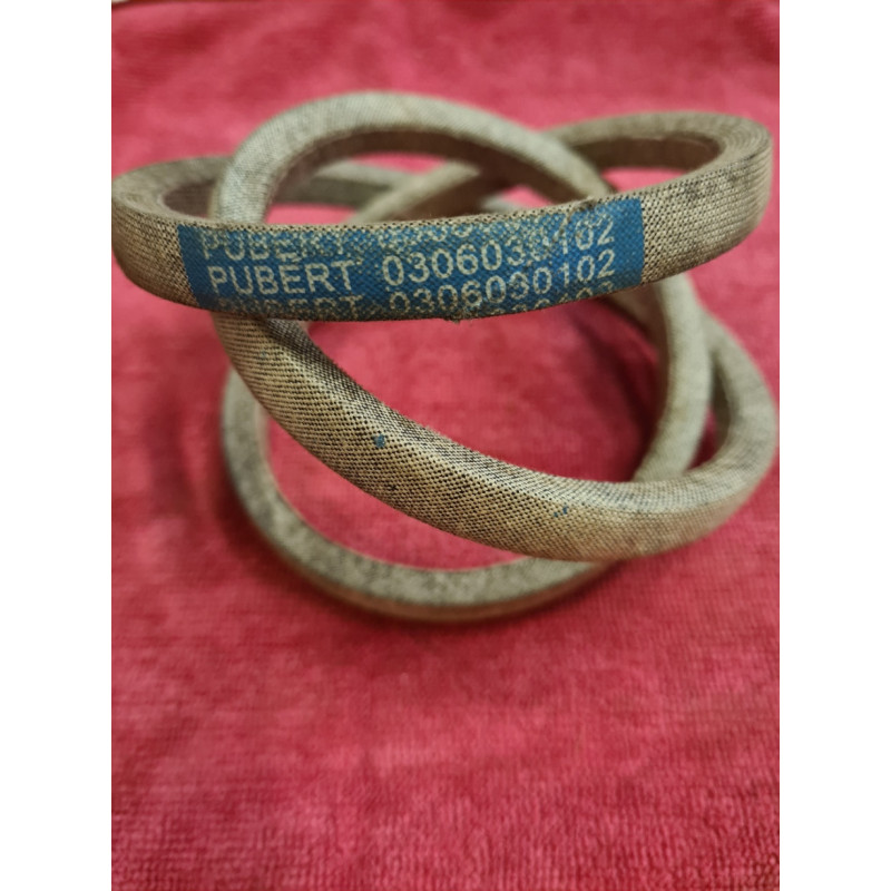 COURROIE PUBERT