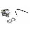 CARBURATEUR BRIGGS & STRATTON