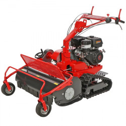 Débroussailleuse à fléaux Blue Bird FM860