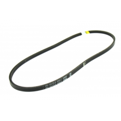 COURROIE WOLF B 24655