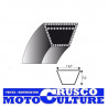 COURROIE 4L310