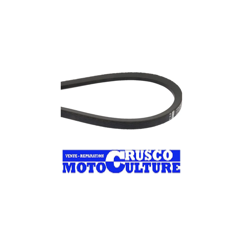 COURROIE 4L810