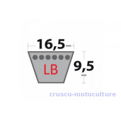 COURROIE LB 31 - LB 31 | Crusco Motoculture