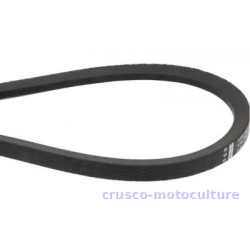 COURROIE LB 31 - LB 31 | Crusco Motoculture