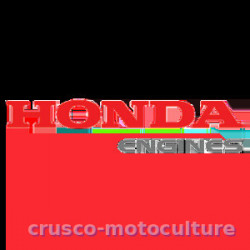 COURROIE EN V LA38 - HON22431747003 | Crusco Motoculture