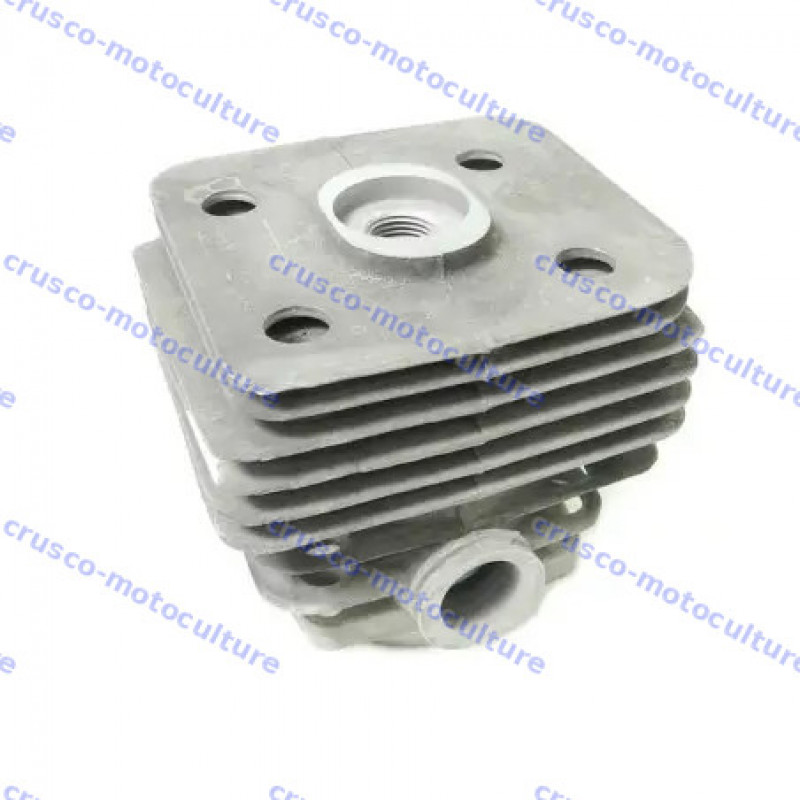 Cylindre pour Echo / Shindaiwa - A130001680 | Crusco Motoculture