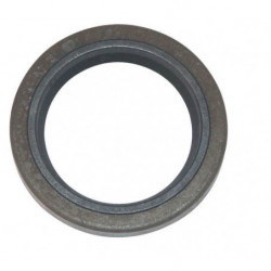 JOINT SPI BRIGGS  STRATTON